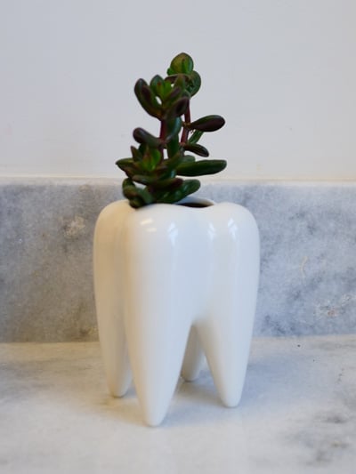 Office Tour Riolo Orthodontics in Seattle, WA